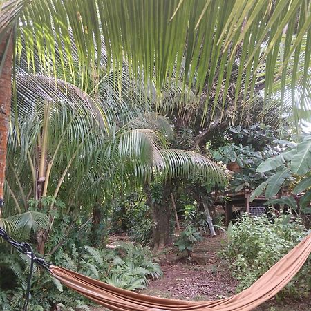 Shuit Bambou Villa La Trinite Ngoại thất bức ảnh