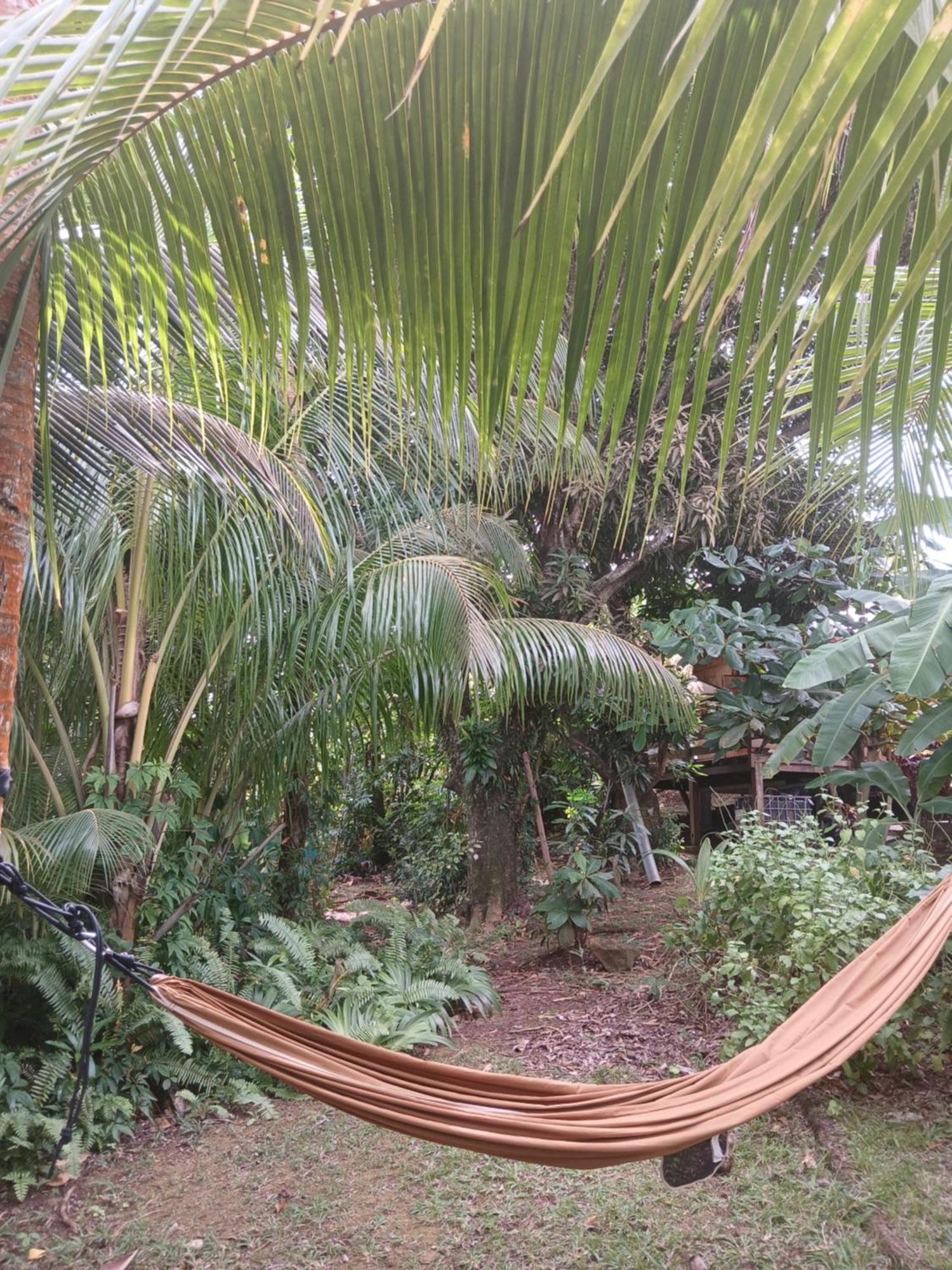 Shuit Bambou Villa La Trinite Ngoại thất bức ảnh